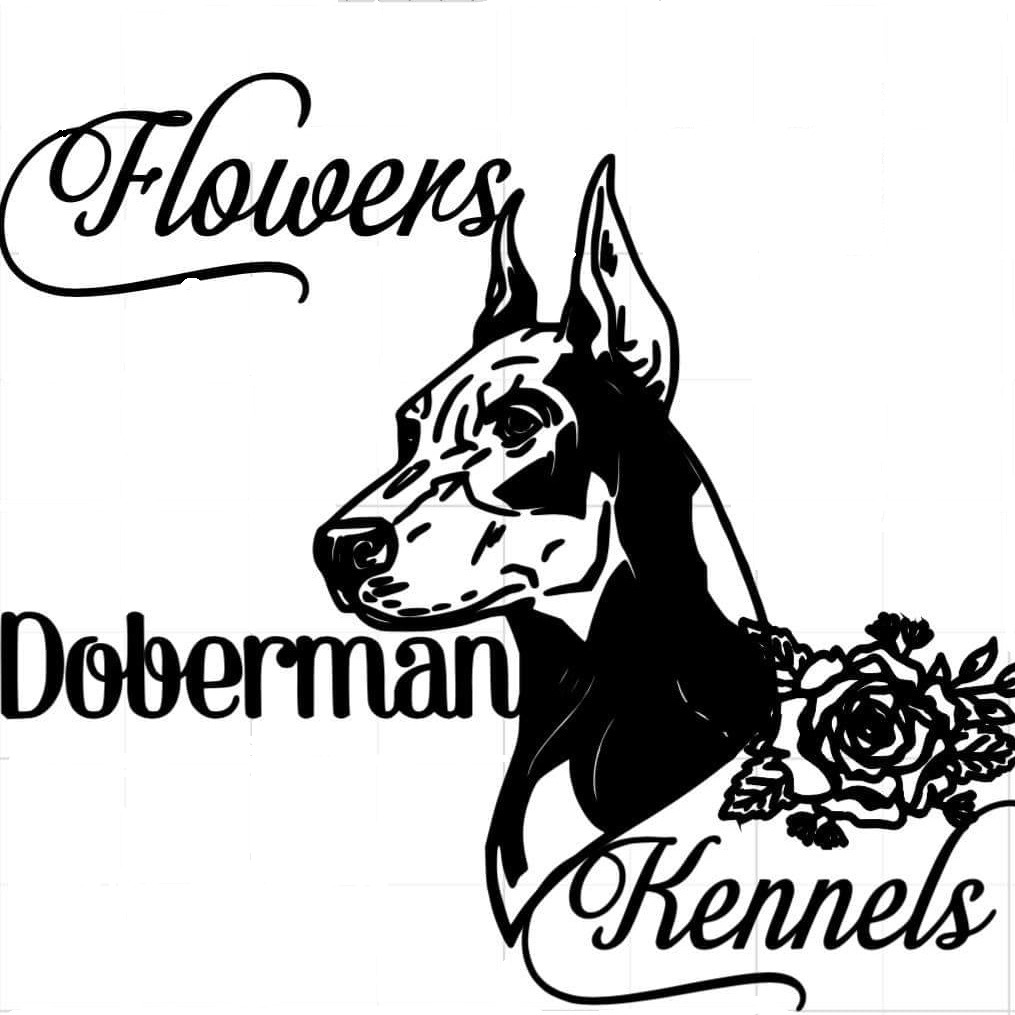 Flowers Doberman Kennels